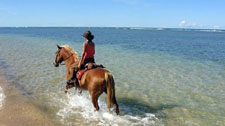 Brazil-Bahia-Bahia Beach Ride
